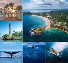 Yasiru Cabs private tour to Mirissa Sri Lanka