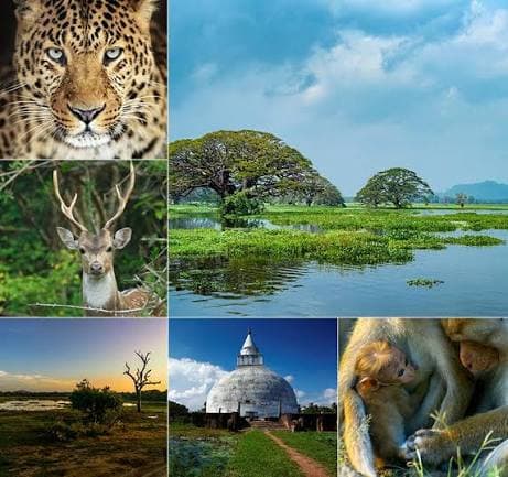 Yasiru Cabs private tour to Yala Sri Lanka