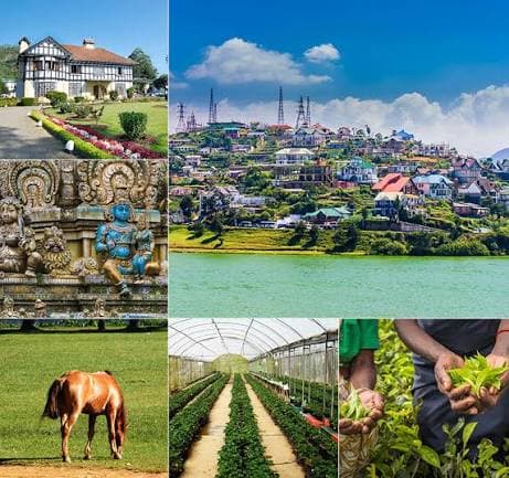 Yasiru Cabs private tour to Nuwara Eliya Sri Lanka